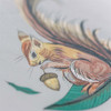 Grocery List - Squirrel Notepad
