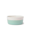 Mint Dog Bowl