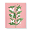 Matcha Tea Book