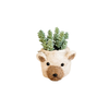 Mini Bear Planter