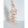 Wooden Stacking Dinosaurs