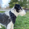 Linen Dog Bandana - Black Plaid, Medium (up to17