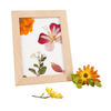 Flower Press Art Kit