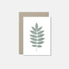 Greeting Card Set of 5 - Wildflowers