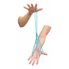 Cat's Cradle String Game