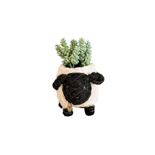 Animal Planter - Baby Sheep