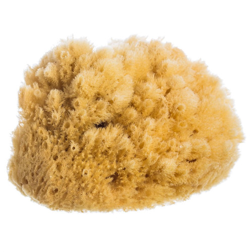 Luxe Spa - Natural Sea Sponge