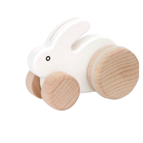 Little Hopping Rabbit Push Pull Toy