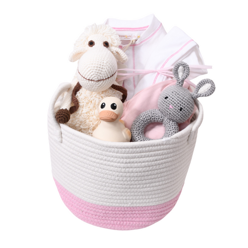 Organic Gift Basket - Around the Garden