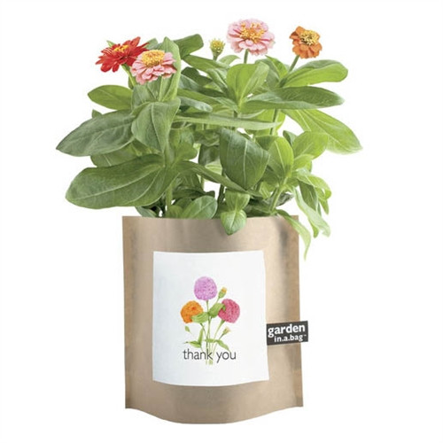 Thank You Gift - Garden in a Bag Zinnias