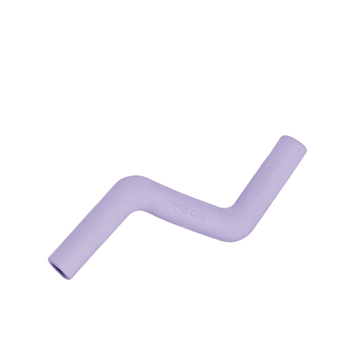 Purple Bolt Chew Toy for Dogs