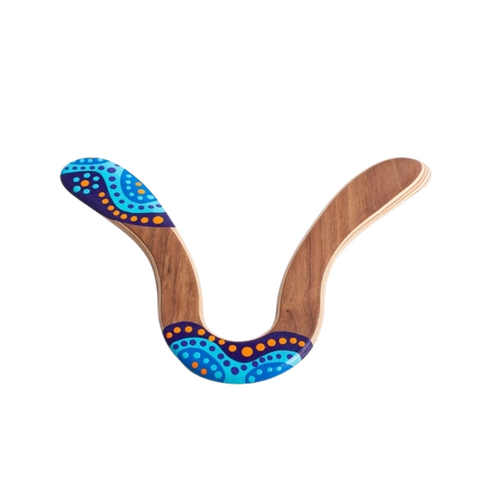 Boomerang Toy