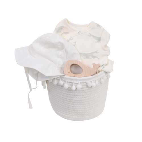 Unisex Baby Gift Basket