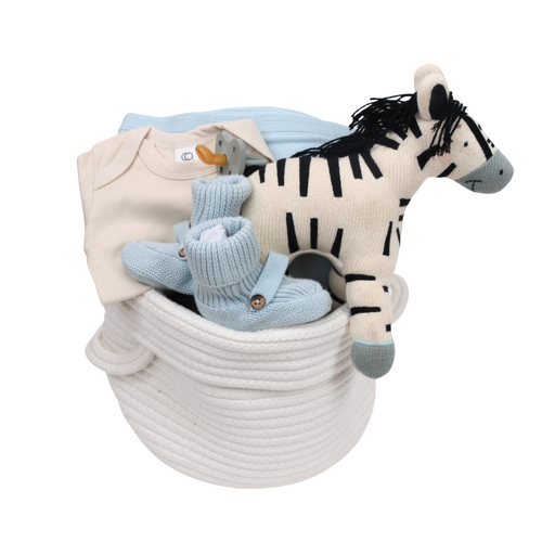 Unique Baby Gift Basket for Boy