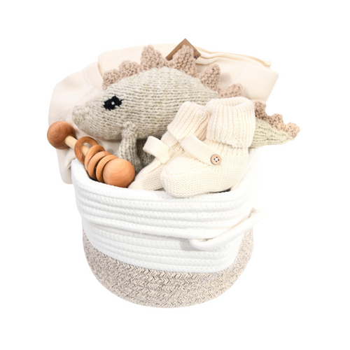 Cute Baby Gift for Boy - Dinosaur