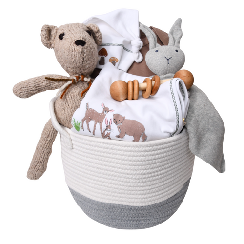 Baby Gift Basket