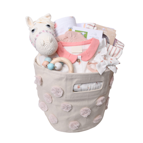 baby girl gift basket