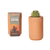 Modern Sprout Terracotta Planter Kit - Cactus