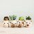 Mini Bear Planter