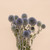 Pretty Dried Flower Bouquet