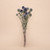 Dried Flowers - Globe Thistle