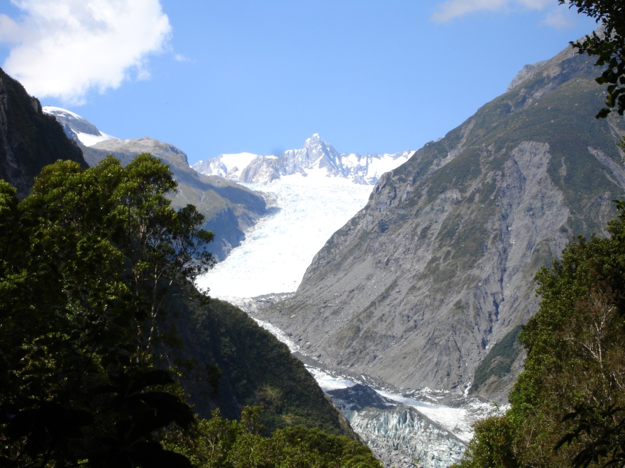 FOX GLACIER 