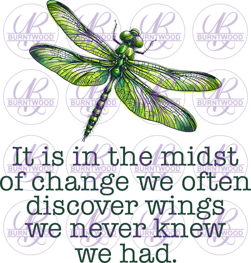 DTF - It Is In The Midst Of Change.. 0797