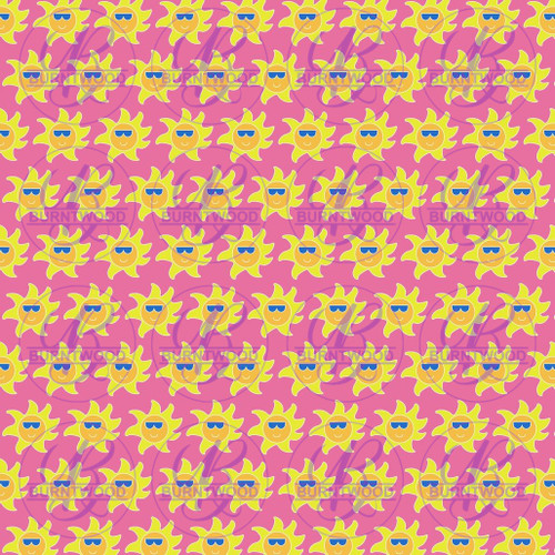 Mr.Sun 6873