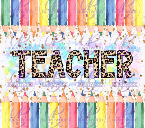 Teacher 10252