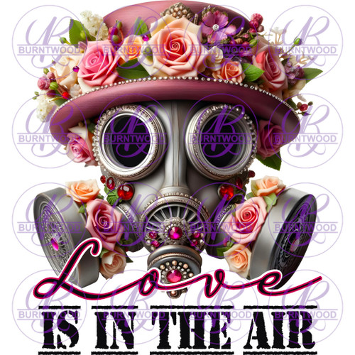 Love is In The Air 6699