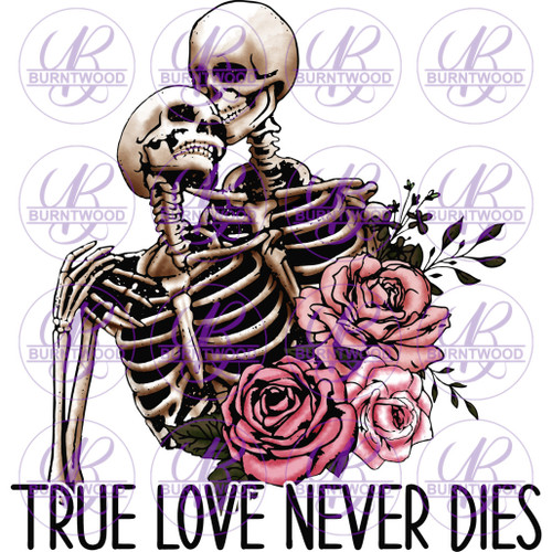 True Love Never Dies 6695