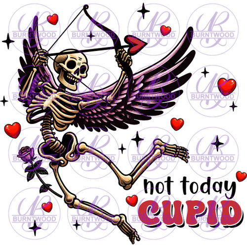 Not Today Cupid 6610