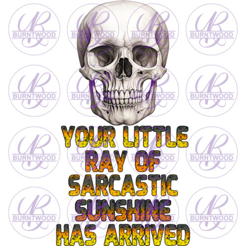 Your Little Ray OF Sarcastic 6513