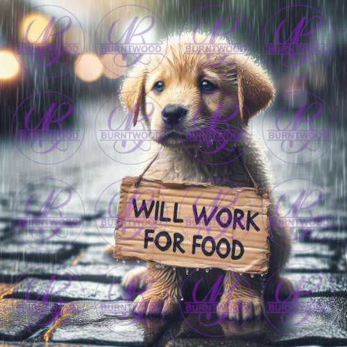 Will Work For Food 10666