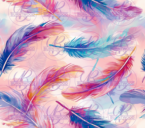 Feathers 10755