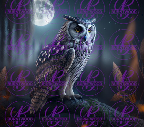 Owl With Moon 7538