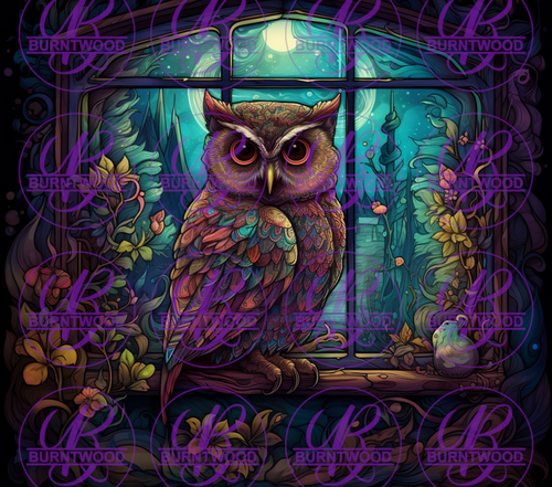 Owl In A window 7513