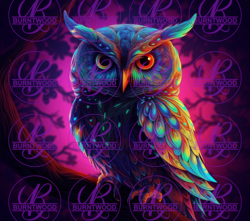 Neon Owl 7503