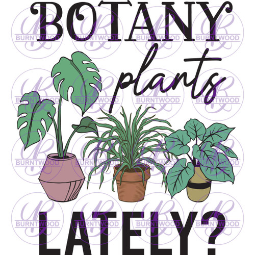 Botany Plants Lately 7041