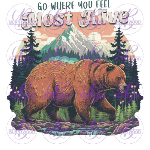 Go Where You Feel Most Alive 7064