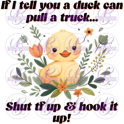 If I Tell You A Duck Can Pull A Truck.. 7111