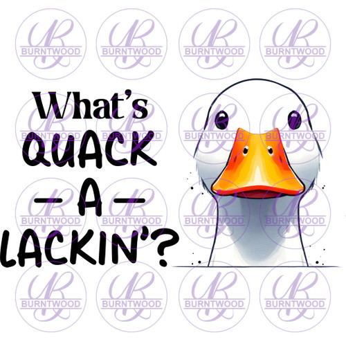 What's Quack A Lackin? 7120