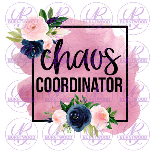 Chaos Coordinator 0172