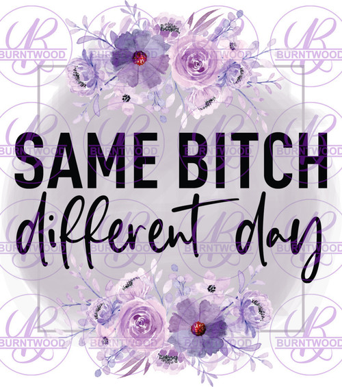 Same Bitch Different Day 0066