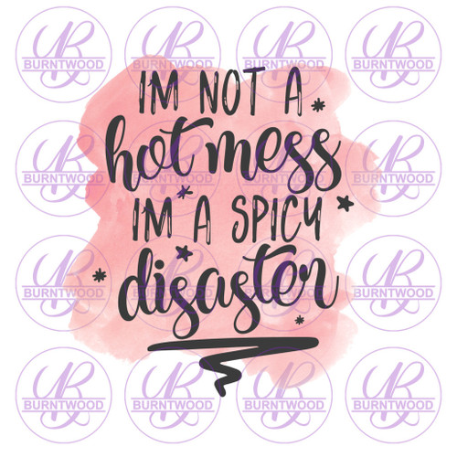 I'm Not A Hot Mess, I'm A Spicy Disaster 0078