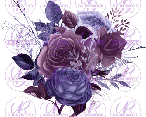 Roses 0234