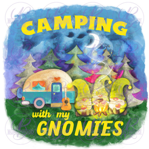 Camping With My Gnomies 0493