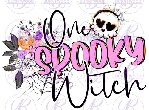 One Spooky Witch 0572