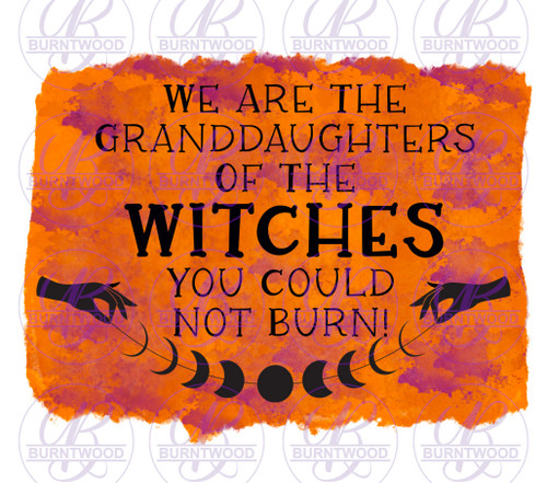We Are The Granddaughters Of The Witches.. 0562