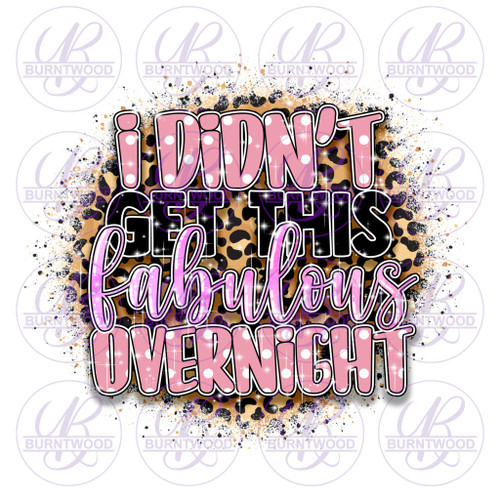 I Didn't Get This Fabulous Overnight 0688